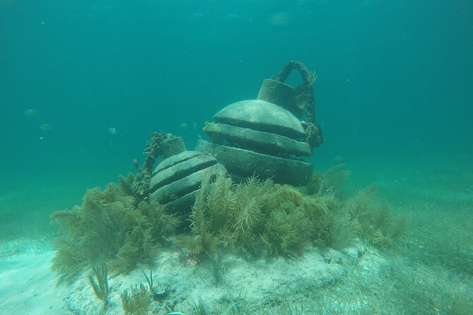 Jungle Tour & Snorkel at Punta Nizuc Reef , Underwater museum - From Marina Puerto Madero to Punta Nizuc Reef in about 2 hours