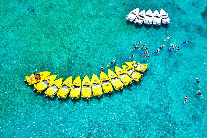 Jungle Tour with Snorkel in Cancun - Price and Value Check: The $49.50 Rate Plus Real-Life Add-Ons