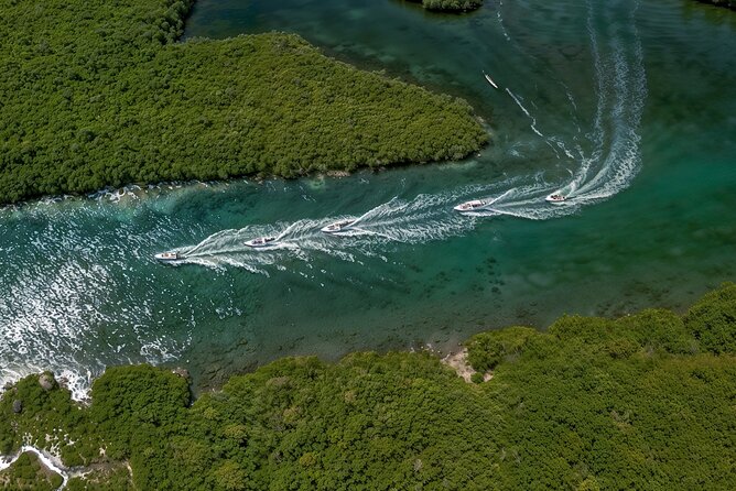 Jungle Tour - The Snorkel Window: What You’ll Do and What Can Change