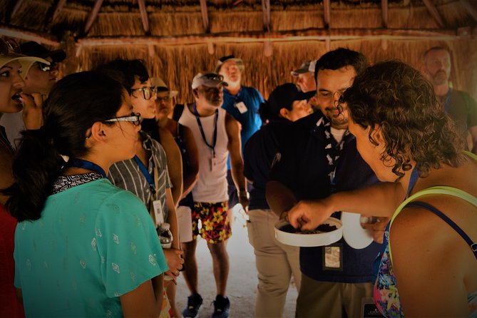 Kaan Luum & Cenotes Mayan Traditions - Comfort and Safety Details That Actually Affect Your Day