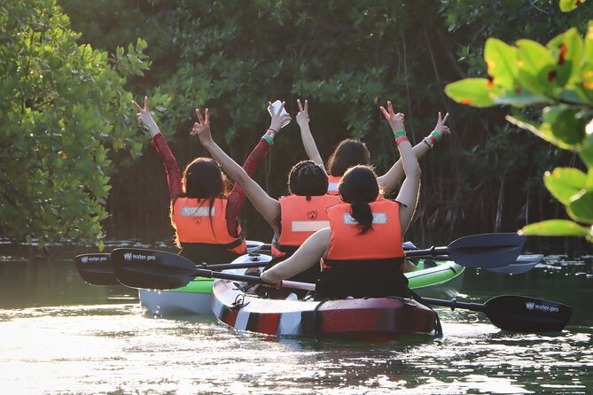 Kayak Adventure in Cancun - The 2-hour flow: safety talk, mangroves, and wildlife time