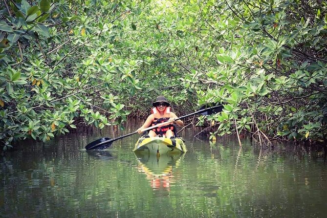 Kayak Adventure in Cancun - Small group kayaking (max 8): why it matters in real life
