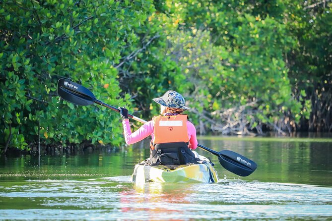 Kayak Adventure in Cancun - Weather matters more than you think