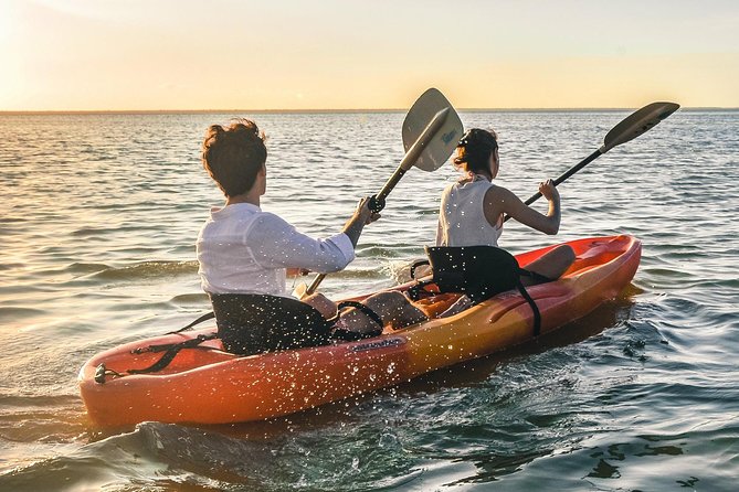 Kayak adventure through Laguna Nichupté in Cancun - Paddling Comfort: Ride-On Kayaks, Pace, and First-Timer Fit