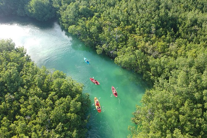 Kayak adventure through Laguna Nichupté in Cancun - Price and Logistics: Is $52.46 a Good Value?