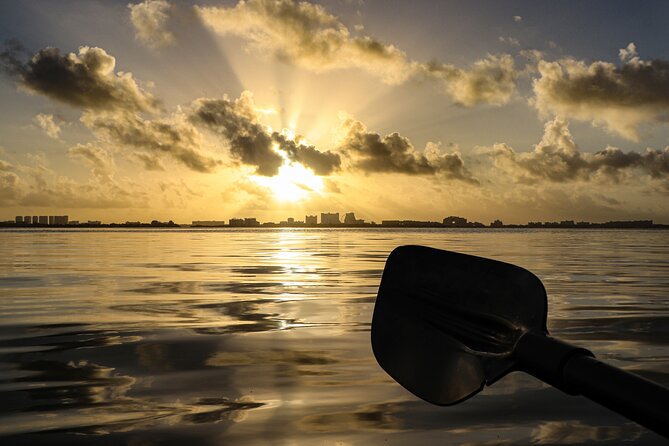 Kayak Tour at Sunset in Cancun - Price and Value: Is a $50.12 Sunset Kayak Worth It?