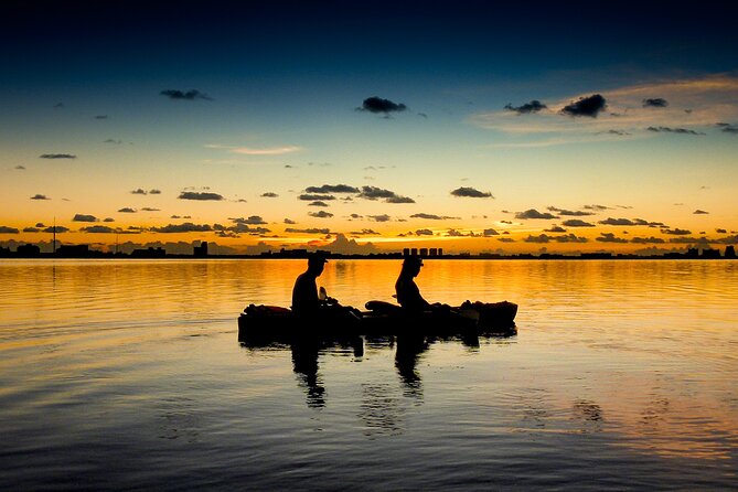 Kayak Tour at Sunset in Cancun - Who Should Book This Cancun Mangrove Kayak Trip?