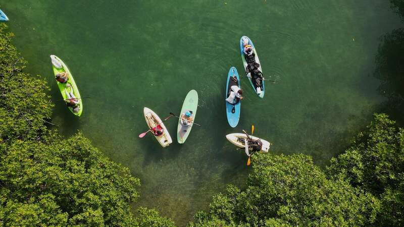 Kayak Tour in Cancun with Photos included - Key highlights worth your time