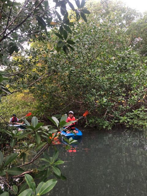 Kayak Tour in Cancun with Photos included - What to Pack and What to Leave at Home