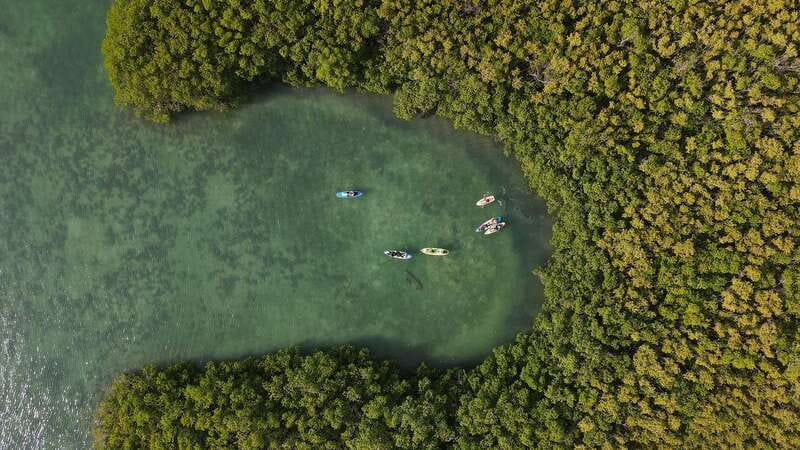 Kayak Tour in Cancun with Photos included - Where You Start at Marina Kaybal (Blvd. Kukulcan, KM 3.5)