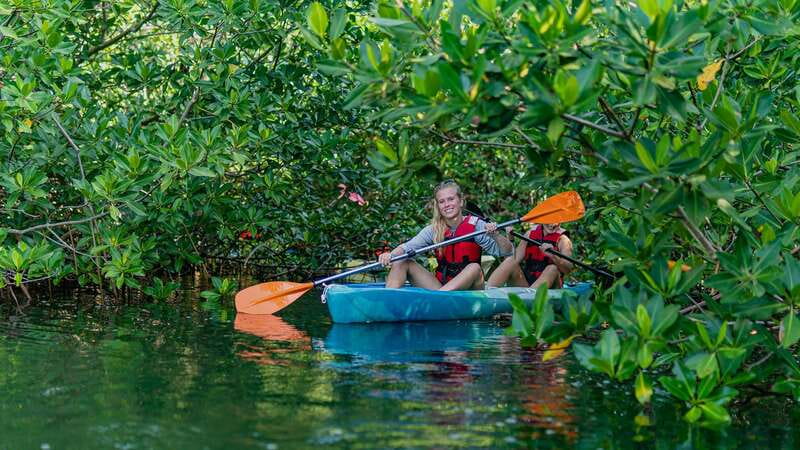 Kayak Tour in Cancun with Photos included - Nichupté Lagoon: A Protected Nature Reserve You Can Actually Reach
