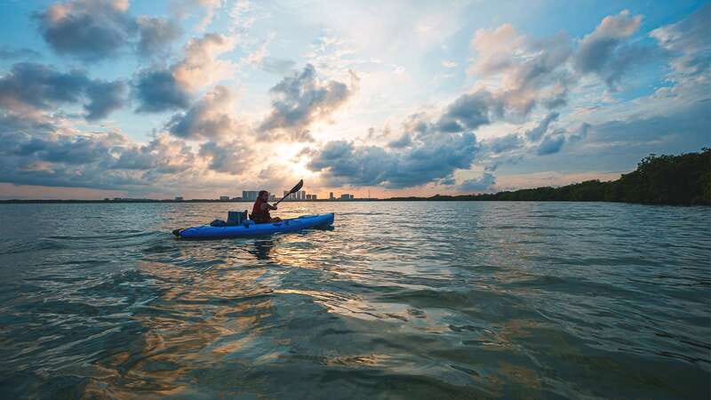 Kayak Tour in Cancun with Photos included - What Wildlife Feels Like When You Are Quiet