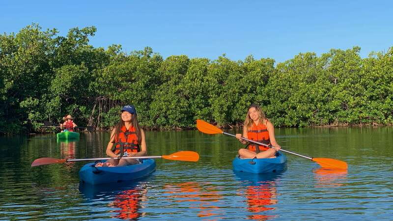 Kayak Tour in Cancun with Photos included - Red Mangroves and the Ecosystem Story You Can Hear