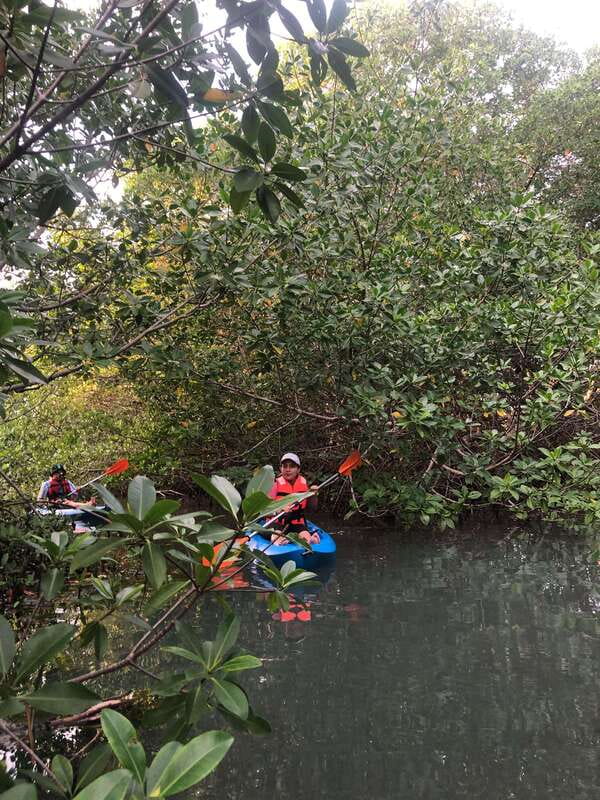 Kayak Tour in Cancun with Photos included - How Hard Is It for Beginners?