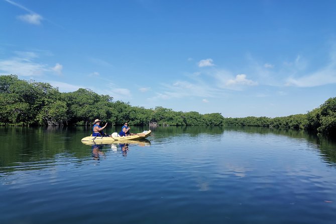 Kayak TOUR POR Laguna Nichupte Cancun - Wildlife spotting without the pressure