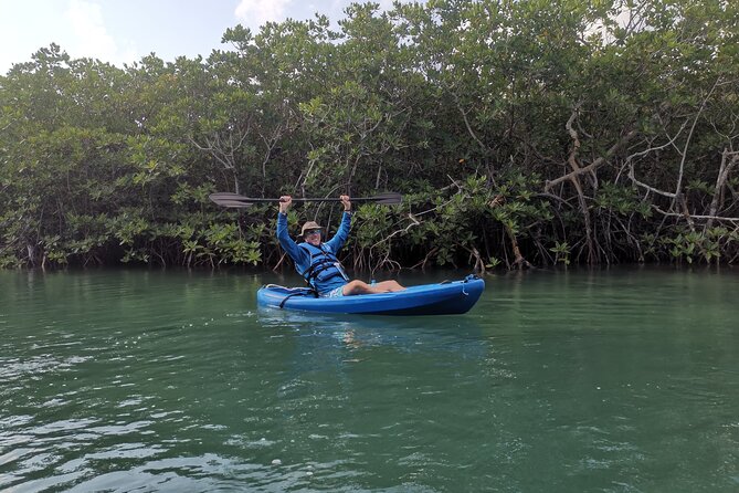 Kayak TOUR POR Laguna Nichupte Cancun - Paddling level, group pace, and how your guide will adjust