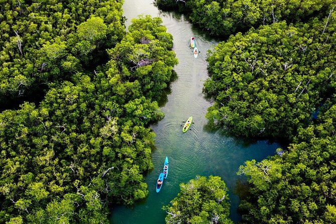 Kayaking Tour in Cancun - Pacing and timing: what 2.5 hours on the calendar really means