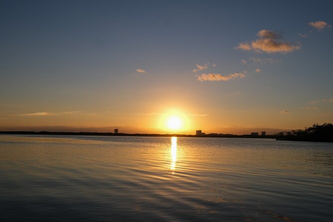 Kayaking Tour in Cancun - Mangrove channels, red mangroves, and what your guide helps you spot