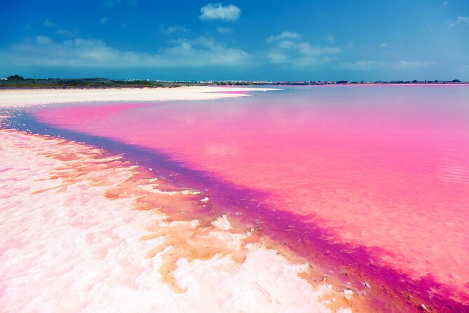 Las Coloradas and Rio Lagartos Tour with All Inclusive - A 6:30 am start means a full day, not a half-day