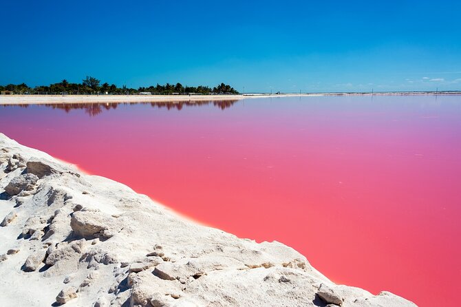 Las Coloradas and Rio Lagartos Tour with All Inclusive - Price and value at $115 per person, plus one important extra fee