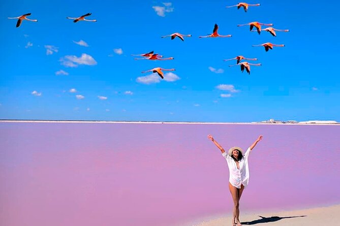 Las Coloradas Pink Lakes & Río Lagartos Wildlife Tour - Why this Las Coloradas and Río Lagartos combo tour works