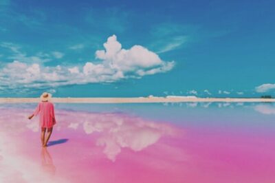 Las Coloradas Pink Lakes & Río Lagartos Wildlife Tour