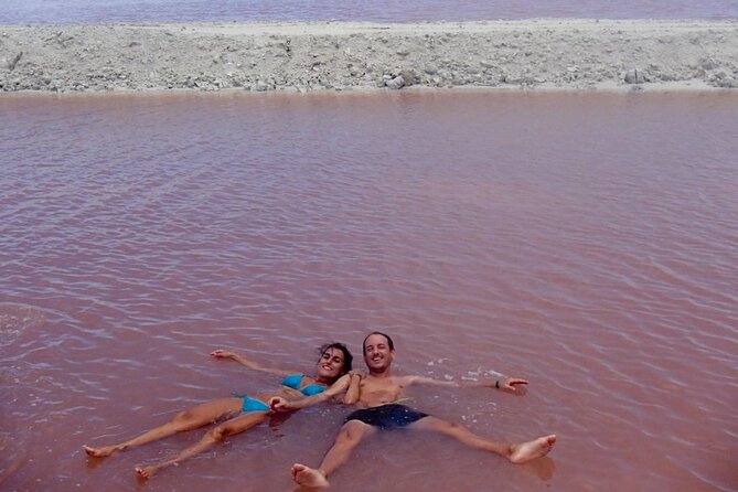 Las Coloradas & Rio Lagartos Tour from Cancún - The Río Lagartos boat ride: mangroves, birds, and close-up crocodile chances