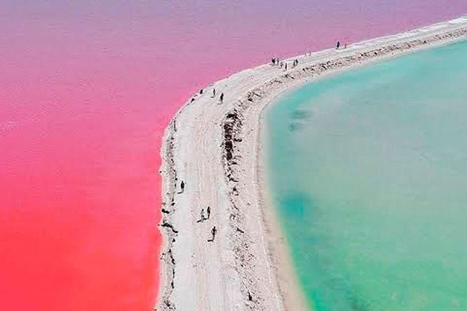 Las Coloradas & Rio Lagartos Tour from Cancún - Price and value: what $119 does, and what adds up