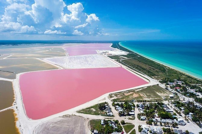 Las Coloradas Tour! Boat Ride, Lunch & Rio Lagartos from Cancun - Las Coloradas Pink Lakes: How This Place Actually Gets Its Color