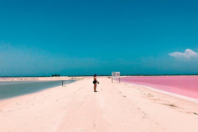 Las Coloradas Tour! Boat Ride, Lunch & Rio Lagartos from Cancun - Lunch and Box Meal: What You’re Actually Eating All Day