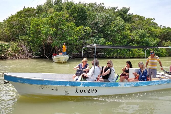 Las Coloradas Tour! Boat Ride, Lunch & Rio Lagartos from Cancun - Price and Value: What’s Included, Plus the Extra Fee to Budget