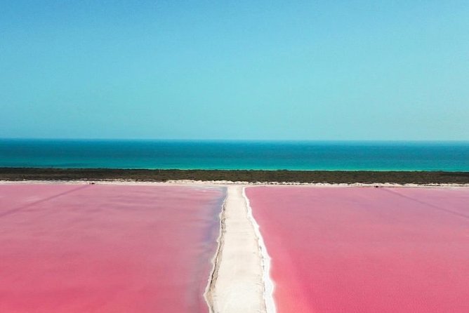 Las Coloradas Tour from Cancun and Playa del Carmen - A full day in Yucatán, built around wildlife and color