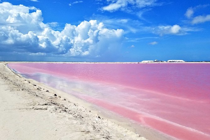 Las Coloradas Tour from Cancun and Playa del Carmen - Food on the road: what’s included and how to plan
