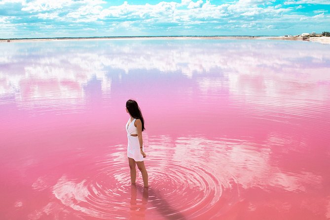 Las Coloradas Tour from Cancun and Playa del Carmen - Price and what you pay for, plus the Rio Lagartos tax