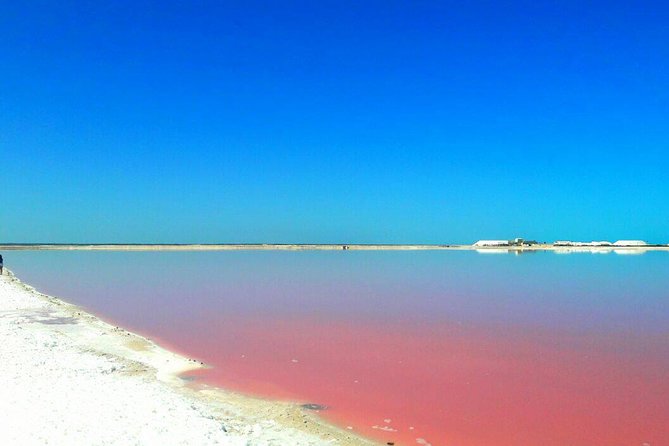 Las Coloradas Tour from Cancun and Playa del Carmen - Rio Lagartos Biosphere boat ride: mangroves, flamingos, and crocodiles