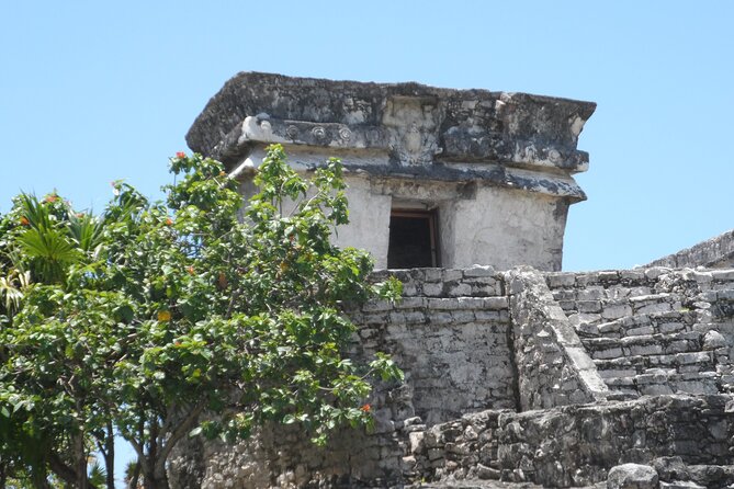 LDS Tour to Tulum Ruins + Cenote - Gran Cenote: natural sinkhole swimming time with fresh water