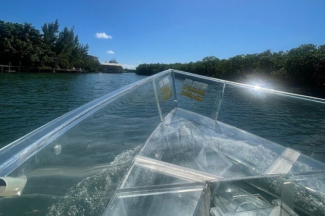 Live Cancun from our Transparent Boat - The Guide Experience: Arthur’s Professional, Friendly Style