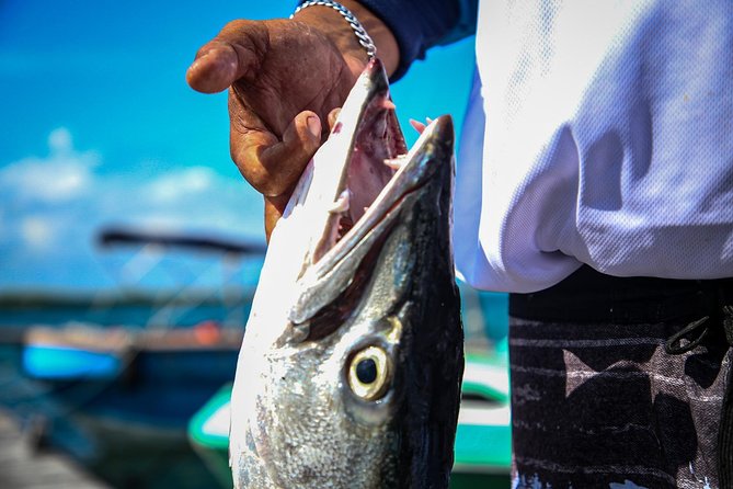 Local Fishing Plus Snorkeling Tour in Isla Mujeres - Private Guide Service That Covers the Headaches