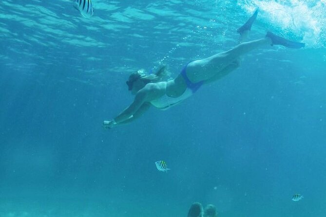Luxury Catamaran Tour to Isla Mujeres with Transportation - Marina Albatros Check-In: Getting on the Boat Smoothly
