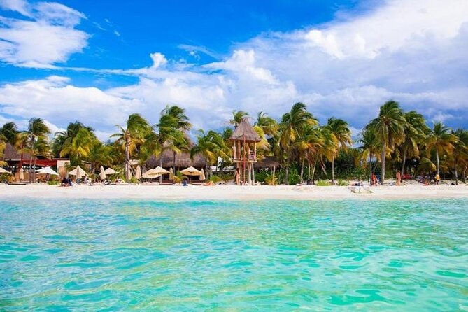 Luxury Catamaran Tour to Isla Mujeres with Transportation - Arrecife El Meco Snorkeling: Reef Time With Real-World Rules