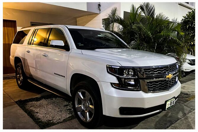 Luxury one way transfer to Tulum from Cancun airport - Service style: private group, mobile ticket, and animals welcome
