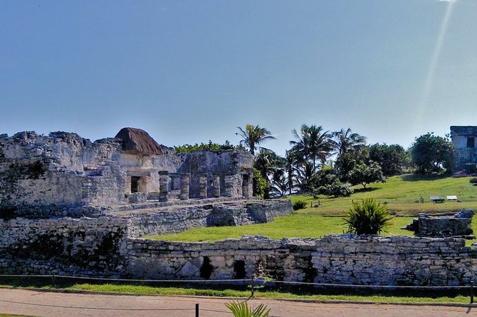 Luxury Tour in Tulum, Coba, Cenote and Playa del Carmen - Stop 2: Coba ruins by bike, lunch included, and the Nohoch Muul climb