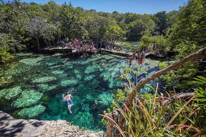 MAGIC BACALAR, 7 Colors Lagoon & Cenote Azul. Transport included - The early pickup and how to time your day