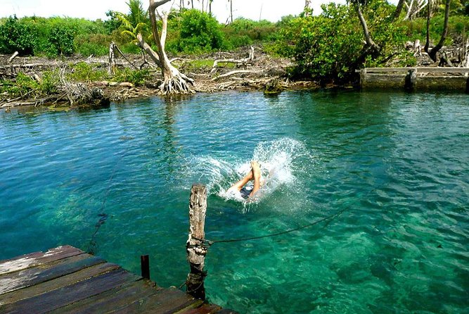 Magic Island Holbox! Experience From Cancun & Playa del Carmen - Isla Holbox free time: the part that makes the trip feel worth it