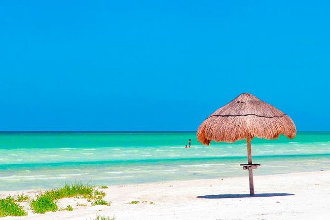 Magic Island Holbox! Experience From Cancun & Playa del Carmen - Punta Mosquito: the short beach hit with clear, shallow water