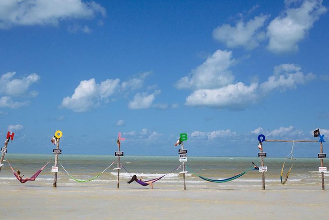 Magic Island Holbox! Experience From Cancun & Playa del Carmen - Food and drinks: box lunch plus a meal, not a full bar
