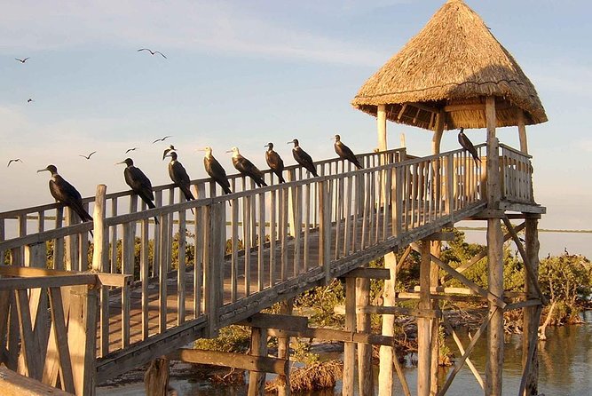 Magic Island Holbox! Experience From Cancun & Playa del Carmen - Price check: what $142 buys you, and what it doesn’t