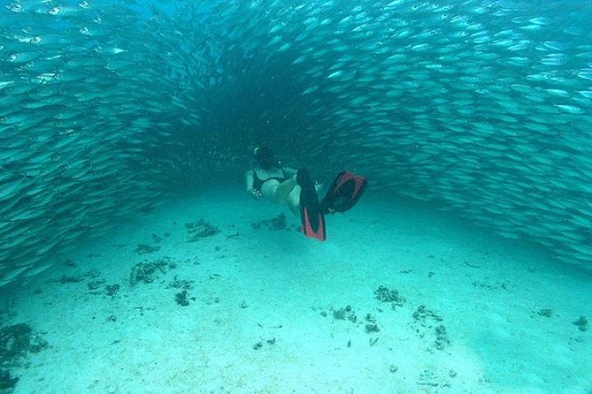Mayan Adventure from Cancun - Hotel Pickup and Drop-Off: Worth Checking Your Location