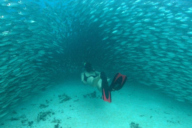 Mayan Adventure from Playa del Carmen - Jungle Freshwater Caves and the River Swim You Did Not Expect