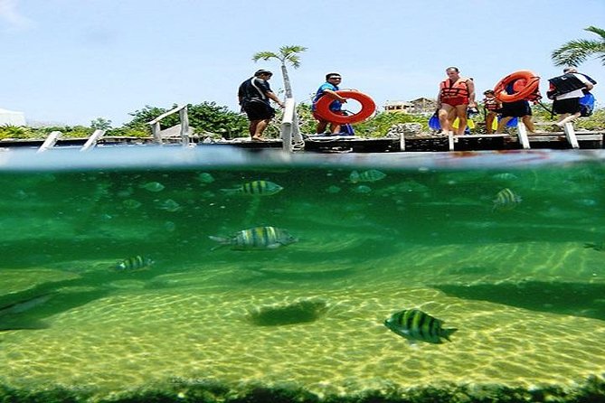 Mayan Adventure from Playa del Carmen - Who This Mayan Adventure Suits Best (And Who Should Skip It)